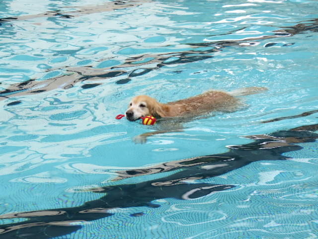 ファイル 4461-3.jpg