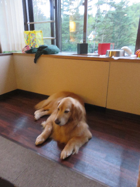 ファイル 4461-4.jpg