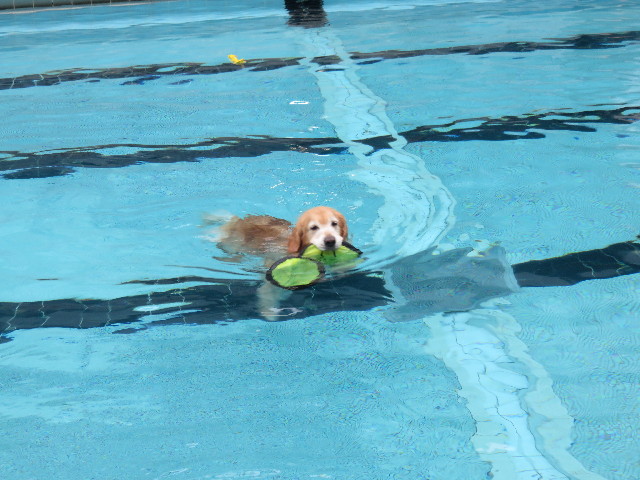 ファイル 4462-4.jpg