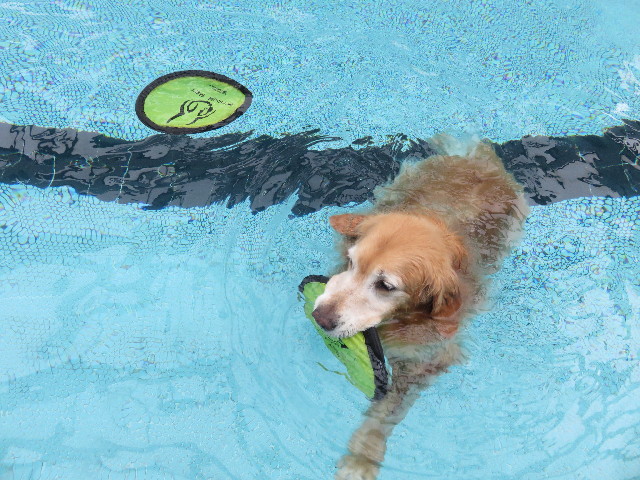 ファイル 4462-5.jpg