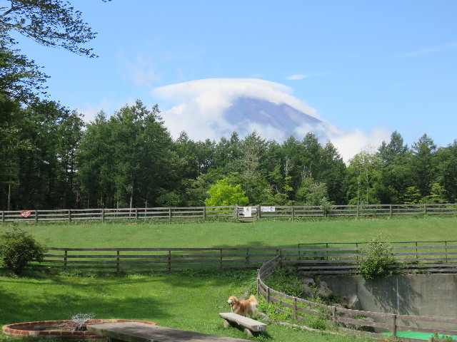 ファイル 4463-1.jpg