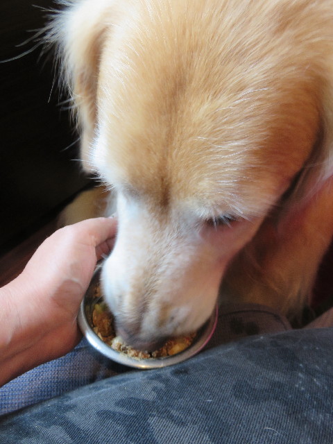 ファイル 4464-2.jpg