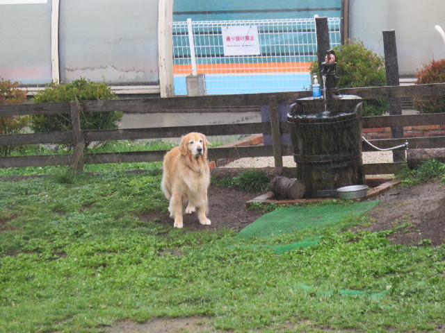 ファイル 4464-3.jpg