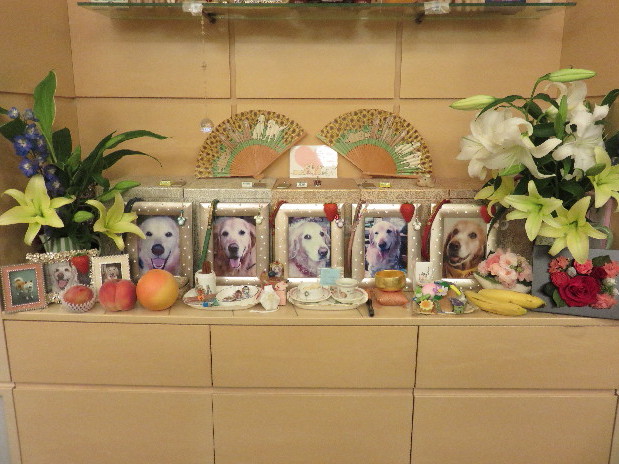 ファイル 4465-4.jpg