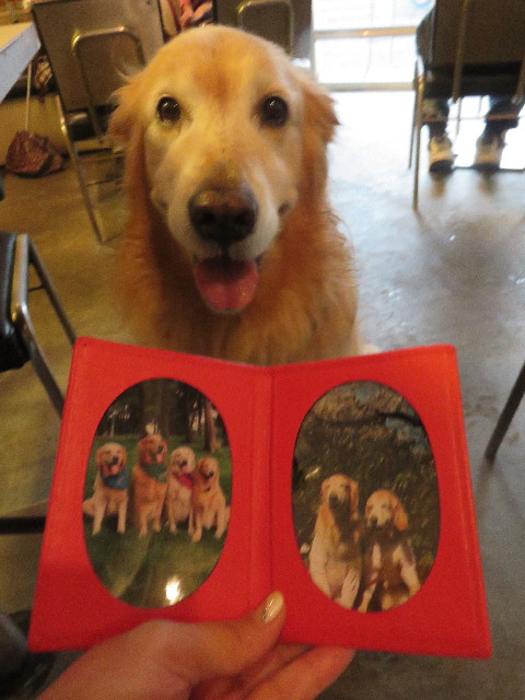 ファイル 4466-2.jpg