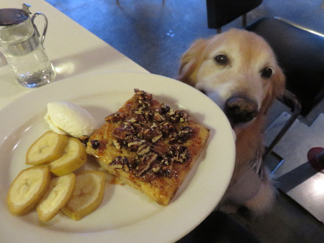 ファイル 4466-3.jpg