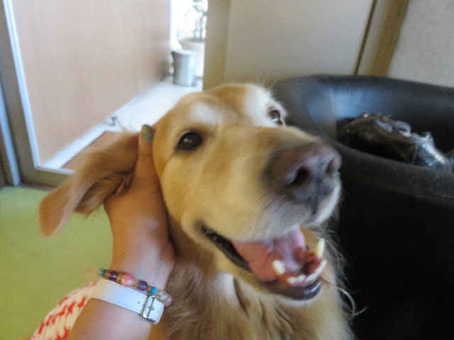 ファイル 4466-4.jpg