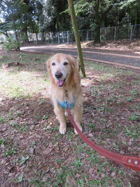 ファイル 4467-2.jpg