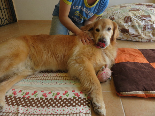 ファイル 4467-3.jpg