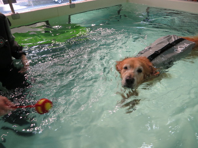 ファイル 4468-4.jpg