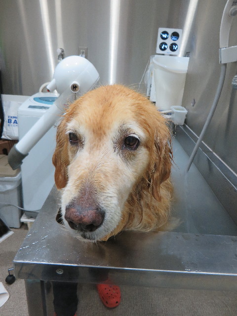 ファイル 4468-5.jpg