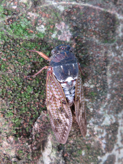 ファイル 4469-3.jpg