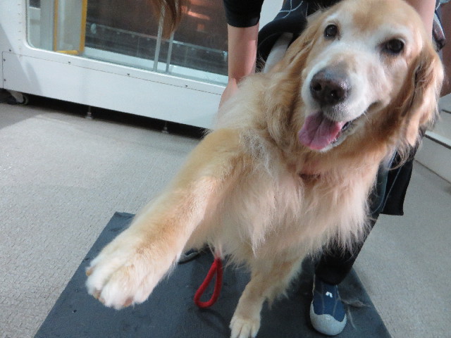 ファイル 4470-1.jpg