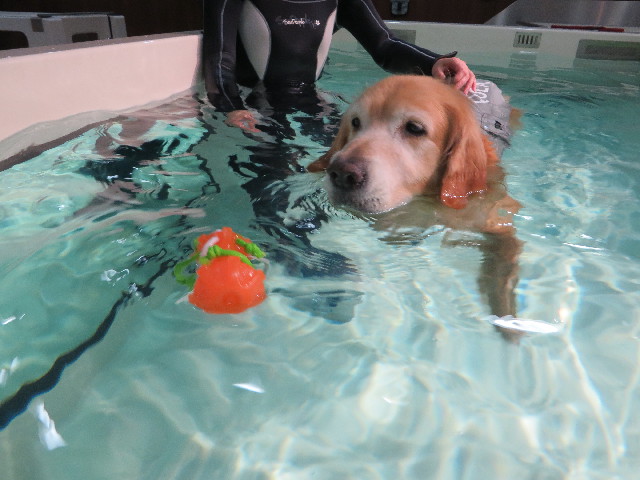 ファイル 4470-2.jpg