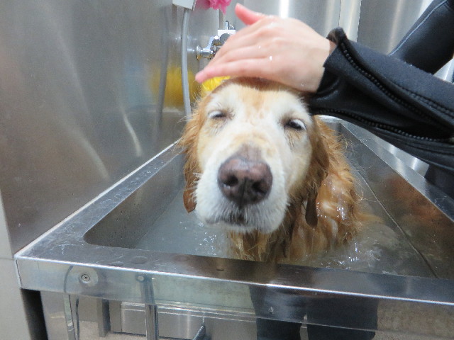 ファイル 4470-5.jpg