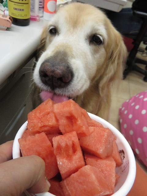 ファイル 4471-3.jpg