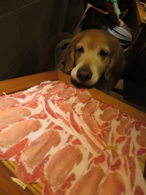 ファイル 4471-4.jpg