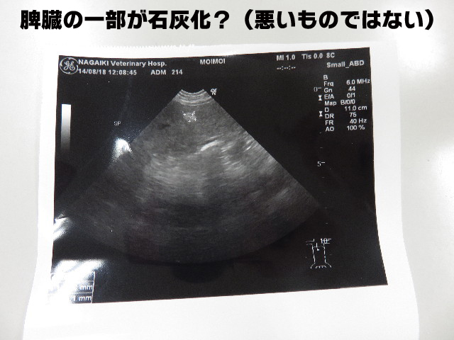 ファイル 4472-2.jpg