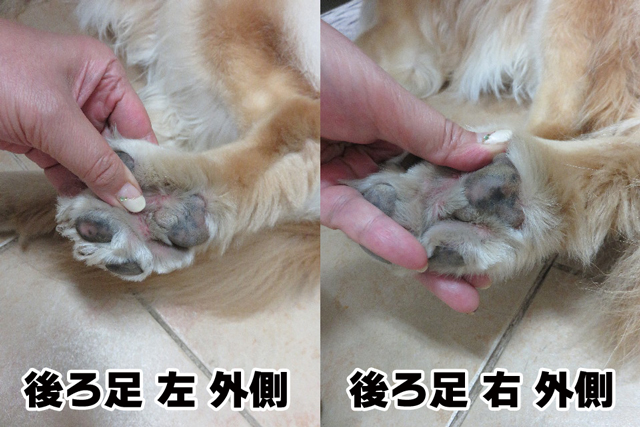 ファイル 4472-3.jpg