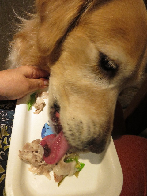 ファイル 4472-4.jpg