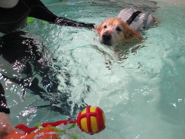 ファイル 4473-4.jpg