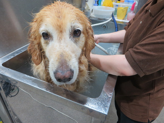 ファイル 4473-5.jpg