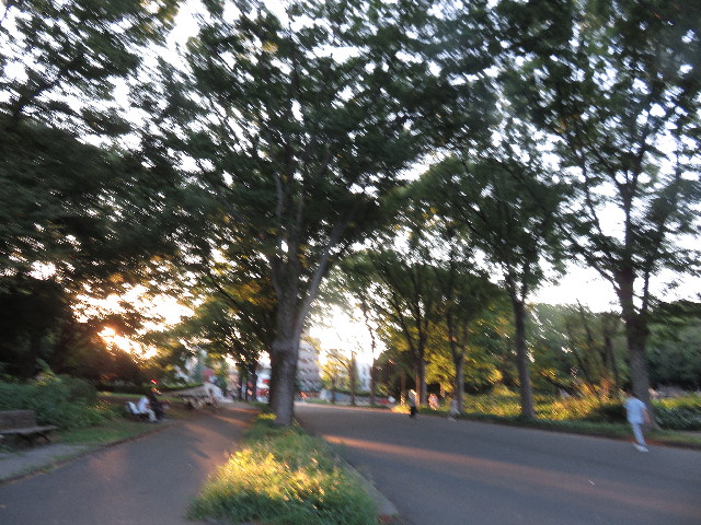 ファイル 4475-1.jpg