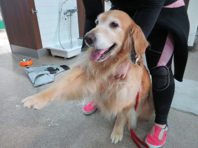 ファイル 4476-2.jpg