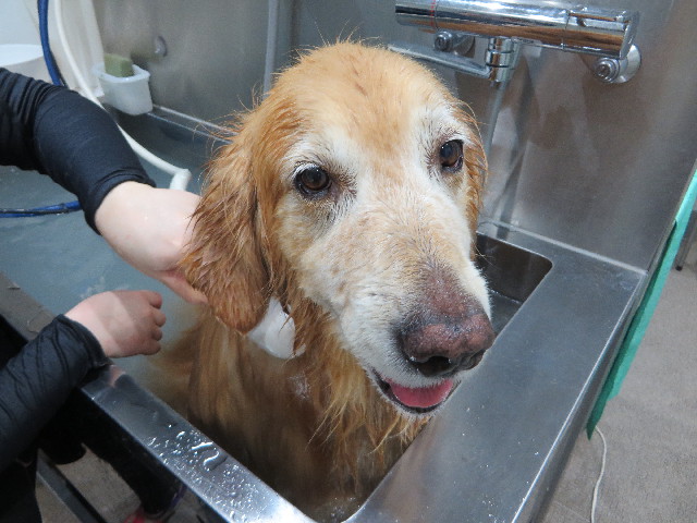 ファイル 4476-4.jpg