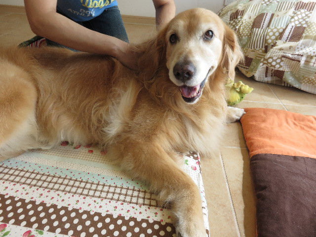 ファイル 4477-2.jpg