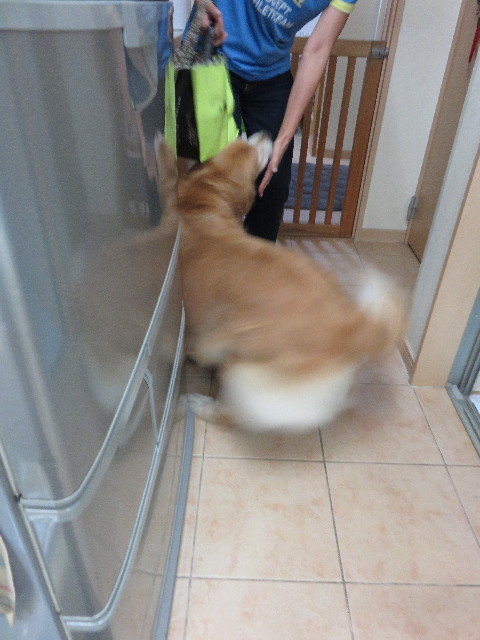 ファイル 4478-1.jpg