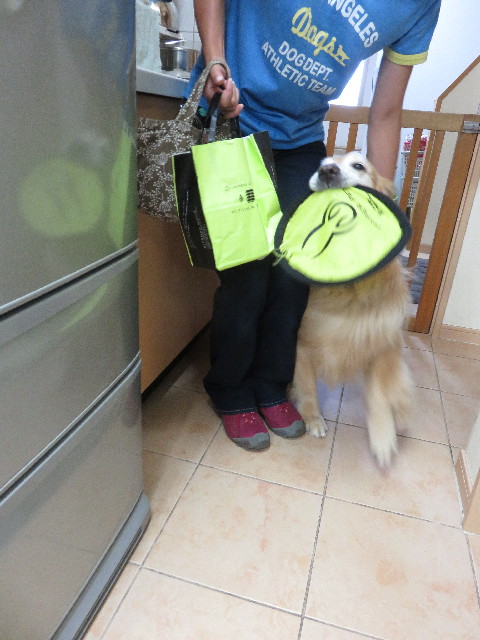 ファイル 4478-2.jpg