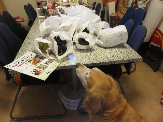 ファイル 4479-4.jpg