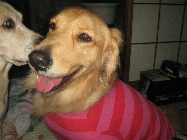 ファイル 448-3.jpg