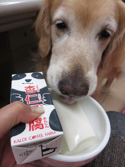 ファイル 4480-3.jpg