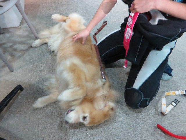 ファイル 4481-1.jpg