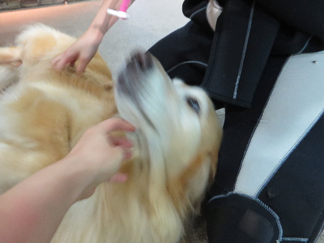 ファイル 4481-2.jpg