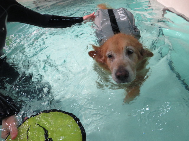 ファイル 4481-4.jpg