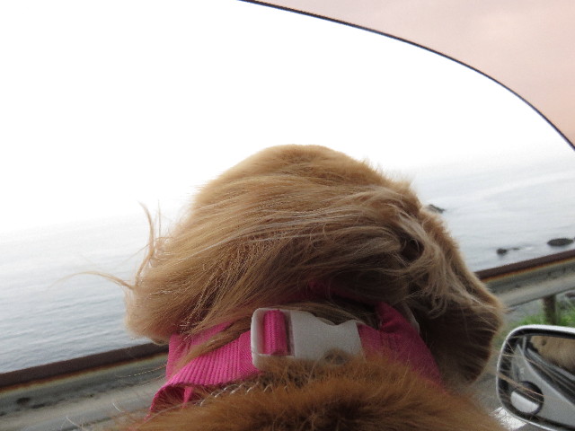 ファイル 4483-1.jpg