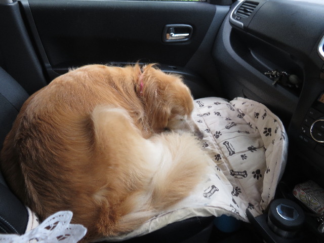 ファイル 4484-1.jpg