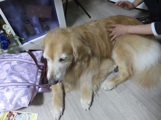 ファイル 4484-2.jpg