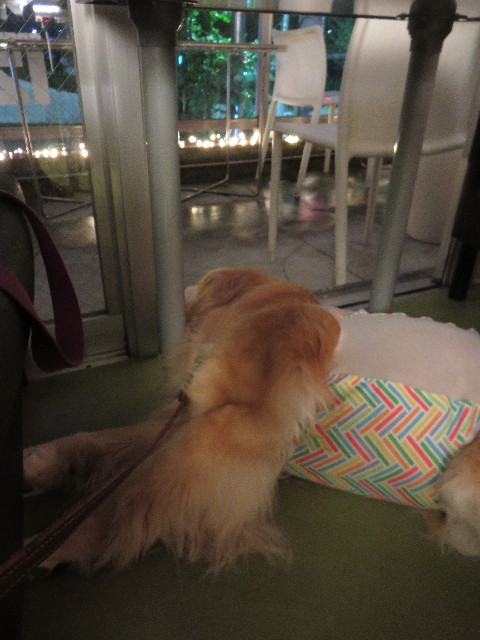 ファイル 4484-5.jpg