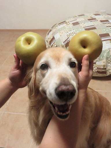 ファイル 4485-2.jpg