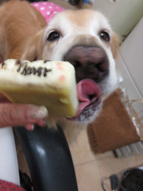 ファイル 4486-1.jpg