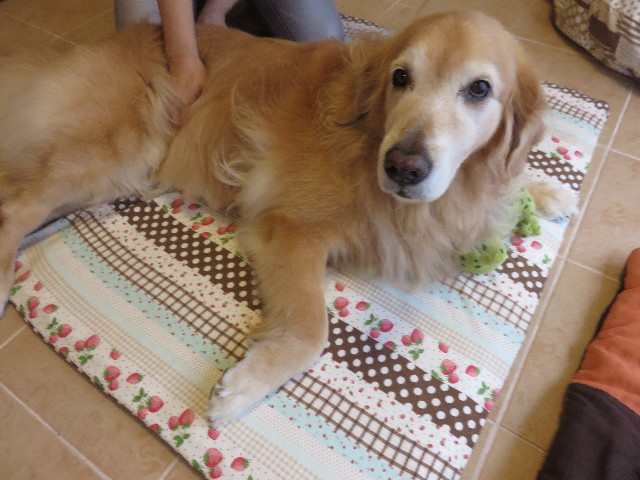 ファイル 4486-3.jpg