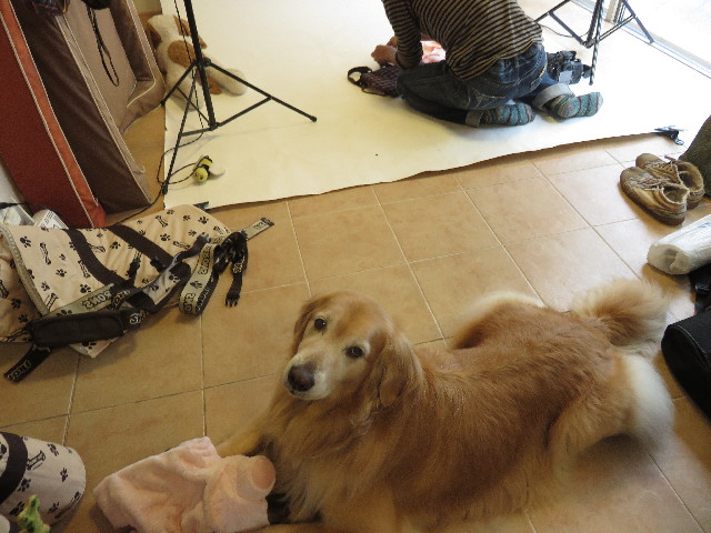 ファイル 4486-4.jpg