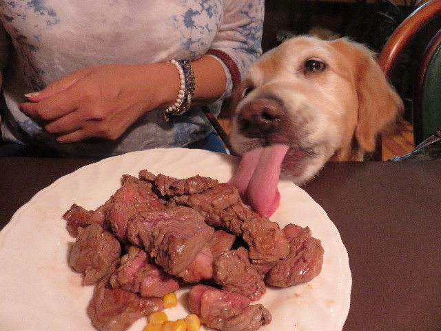 ファイル 4488-2.jpg