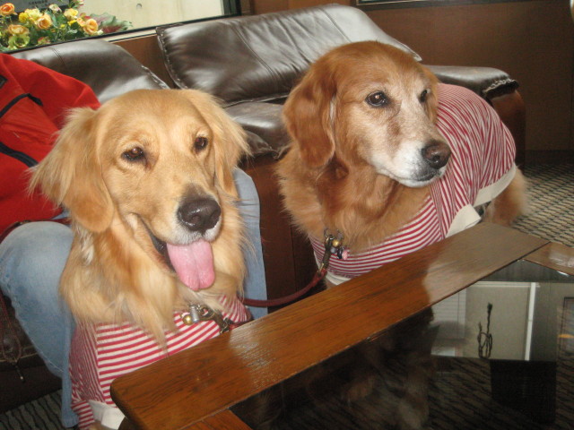 ファイル 449-2.jpg