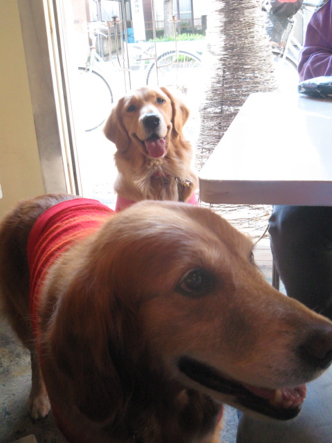 ファイル 449-3.jpg