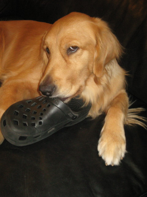 ファイル 449-4.jpg